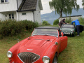 Frogeye  Austin Healey Tagebuch