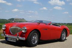 Frogeye Austin Healey Tagebuch