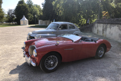 Frogeye Austin Healey Tagebuch