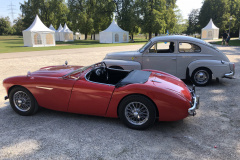 Frogeye Austin Healey Tagebuch