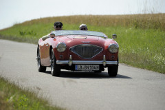 Frogeye Austin Healey Tagebuch