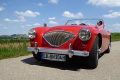 Frogeye Austin Healey Tagebuch