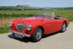 Frogeye Austin Healey Tagebuch