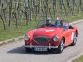 Frogeye Austin Healey Tagebuch