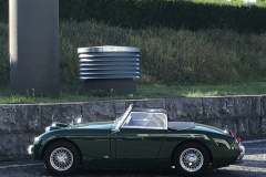 Frogeye Austin Healey Tagebuch