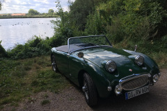 Frogeye Austin Healey Tagebuch