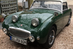 Frogeye Austin Healey Tagebuch
