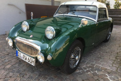 Frogeye Austin Healey Tagebuch