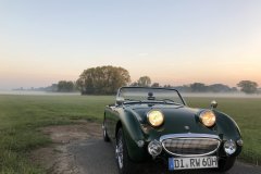 Frogeye Austin Healey Tagebuch