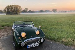 Frogeye Austin Healey Tagebuch