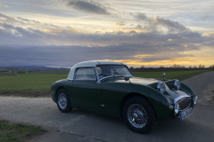 Frogeye Austin Healey Tagebuch