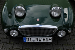 Frogeye Austin Healey Tagebuch