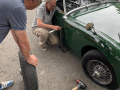 Frogeye  Austin Healey Tagebuch